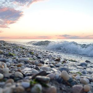 Meet your Posher, Autumn